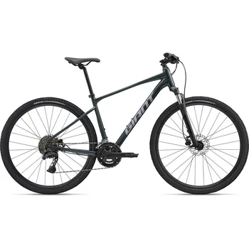 Horské kolo Giant Roam 2 Asphalt Green 2026 Průměr kol: 29", Výška rámu: (18" = 46 cm), Velikost rámu: M