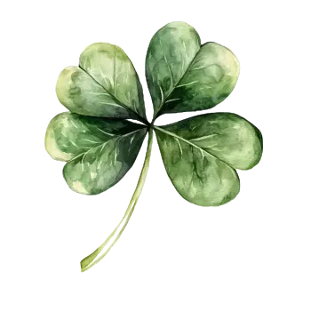 Textilní nažehlovací páska Nažehlovací obrázek - čtyřlístek (18,0 x 20,0 cm)