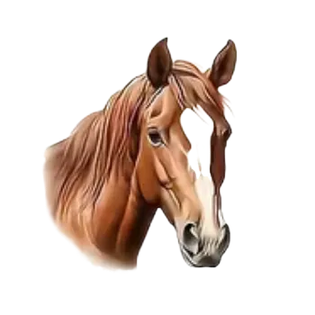 Nažehlovací obrázek - motiv koně II (7,3 x 8,5 cm)