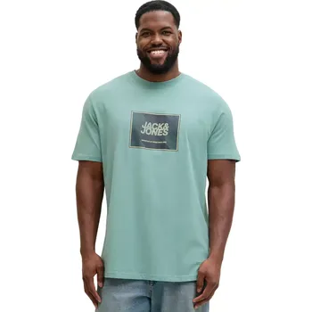 Pánské tričko Pánské velké tričko s potiskem Jack & Jones 12295987 mátové (5XL)