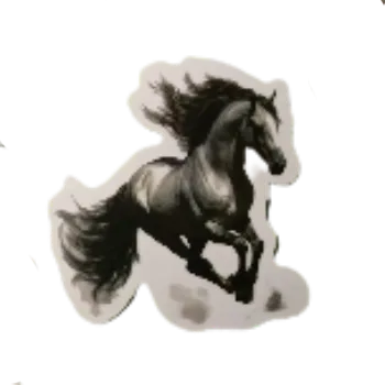 samolepka Samolepky - malovaní koně (sada 5 ks)