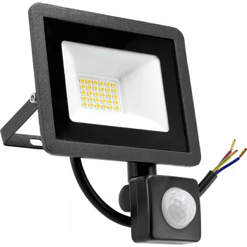 Halogen bílý neutrální 2700 lm 30 W