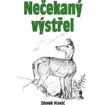 Nečekaný výstřel