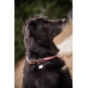 Obojek pro psa PENELOPE Obojek pro psy Billie Penelope, pink/lurex 40 cm