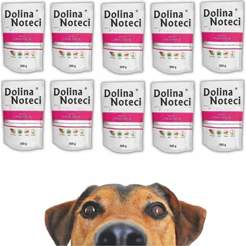 Krmivo pro psa Dolina Noteci Premium Adult s krůtím masem 10x500g