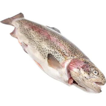 Maso a ryba Rybářství Chlumec Pstruh lososovitý