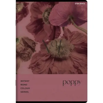 Sešit Sešit A5 linkovaný TOP-2000 60 listů