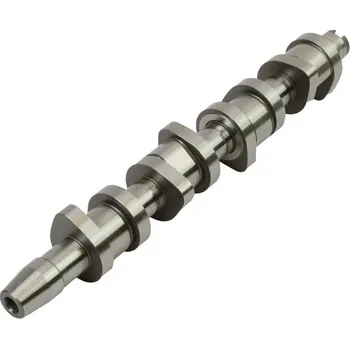 Autodíl Vačkový hřídel Volkswagen 1.9 TDI 038 109 101 R Borsehung