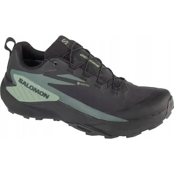 Pánská běžecká obuv SALOMON GENESIS GTX (46 2/3) Pánské běžecké boty Textilní Černá