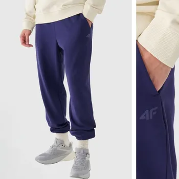 Pánské tepláky 4F 4FWMM00TTROM1139-31S-L