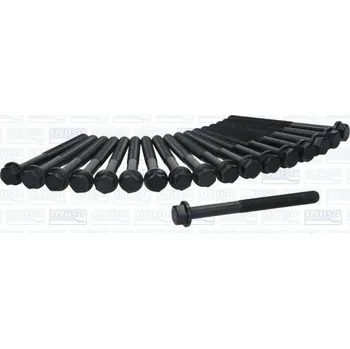 Spojovací materiál motoru Sada sroubu pro hlavy valcu AJUSA 81067300