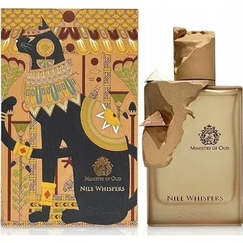 Unisex parfém Paris Corner Ministry Oud Nile Whispers 100ml EDP Parfémovaná voda Unisex