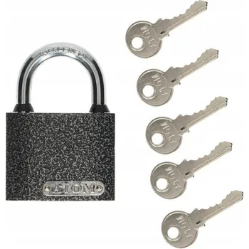 Visací zámek Visací zámek na klíč ADGO