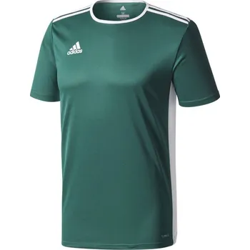 Fotbal Pánský fotbalový dres adidas ENTRADA 18 JERSEY L Tmavě zelená, Bílá