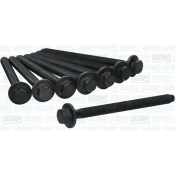 Spojovací materiál motoru Sada sroubu pro hlavy valcu AJUSA 81071400