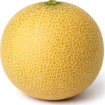 Ovoce Meloun Galia, cca 0.81kg