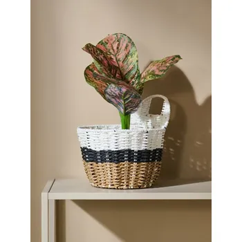 umělá květina Sinsay - Dekorativní umělá rostlina - zelená - 241EJ-07X - 241EJ-07X-ONE