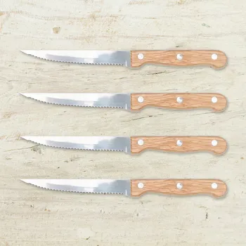 Haushalt international Sada steakových nožů, 4 ks 797593