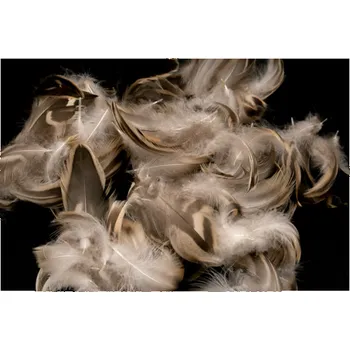 Dekorace - pírka, peří, světle hnědá 3 g