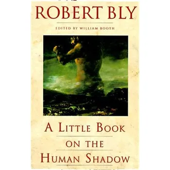 A Little Book on the Human Shadow - Robert Bly