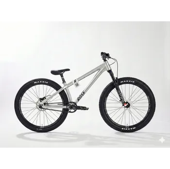 Horské kolo Kolo Rose Bruce 2 rám M kolo 26" stříbrný