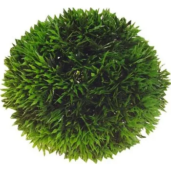Dekorace do akvária HOBBY Rostlina umělá Plant Ball 13cm