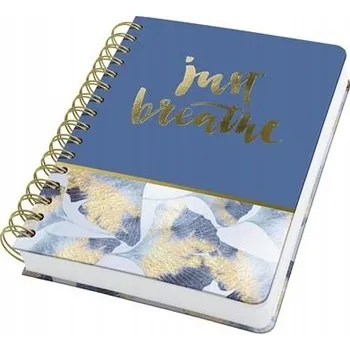 Sešit Sešit A5 s mřížkou 168 x 215 mm Sigel, 120 listů