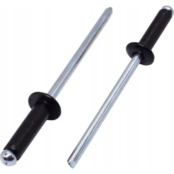 Nýt Trhací nýty s plochou hlavou RAL 9005 hluboká černá 4.8x10 - 100 ks