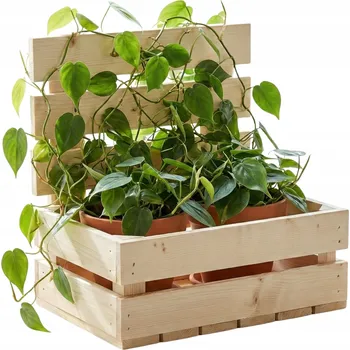 Obraz Dřevěná Bedýnka s Plotem Koš na Dárky Hrubá Základna pro Decoupage 30x20