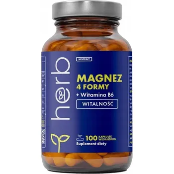 Doplněk stravy Herb Hořčík 4 formy + Vitamín B6 100 kapslí bez cukru
