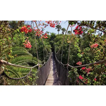 Fototapeta Fototapety 254x184 cm: Květiny, džungle, krajina