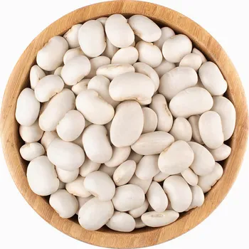 Příloha Vital Country Fazole bílá Medium BIO 500 g