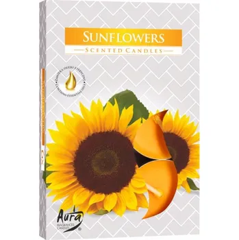 Svíčka Parafínové čajové svíčky Slunečnice Bispol 6 ks