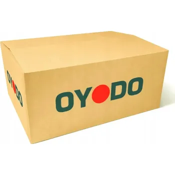 Filtr pevných částic Oyodo 20N0106-OYO Filtr pevných částic (DPF), výfukový systém