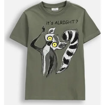 Chlapecké tričko Coccodrillo dětské tričko zelené bavlna velikost 122