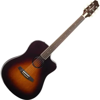 Elektroakustická kytara L.R. Baggs AEG-1 Sunburst Elektroakustická kytara