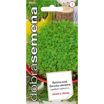 Semeno Semena -Žerucha zahradní