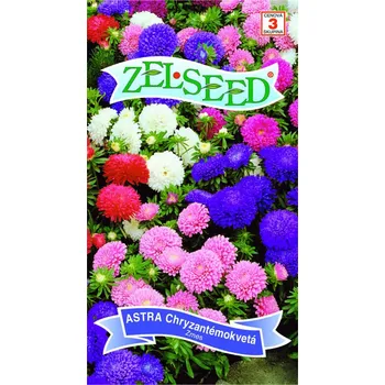 Semeno Semena - HVĚZDNICE NÍZKÁ CHRYZANTÉMOKVETÁ směs