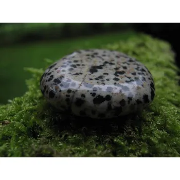 Jaspis dalmatin - hmatka