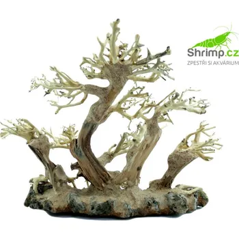 Dekorace do akvária Bonsai Driftwood 20 x 15 x 17 cm (82.)