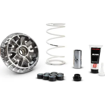 Auto-moto Variátor MALOSSI Multivar 2000, SUZUKI 400 Burgman od 2010 (nový typ) M5120134