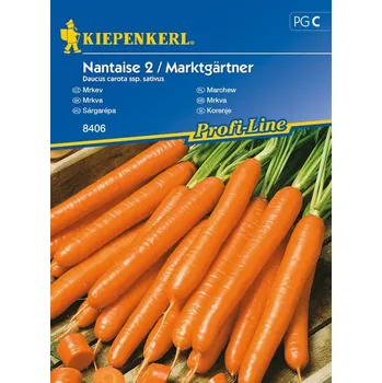 Semeno Mrkev obecná Nantaise 2, Kiepenkerl, semínka