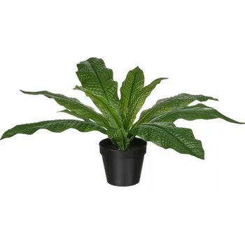 umělá květina IKEA FEJKA Umělá rostlina v květináči, Kapradina Microsorum Crocodyllus 40 cm