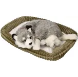 Dýchající štěňátko aljašský husky
