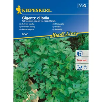 Semeno Petržel hladká Gigante d´Italia, Kiepenkerl, semínka