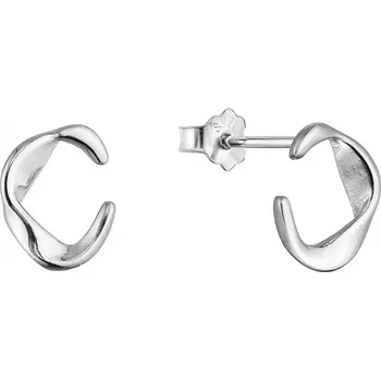 Náušnice Stříbrné náušnice 61028