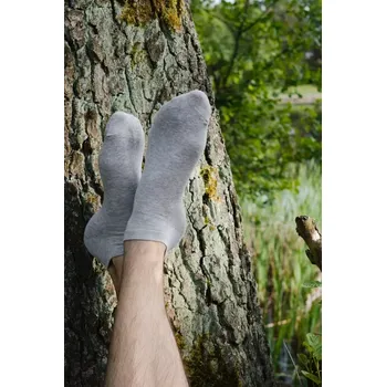 Pánské ponožky Hladké pánské ponožky 045 Béžová 41-43