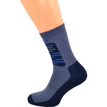 Dámské ponožky Ponožky ThermoForce modrá velikost 41-42