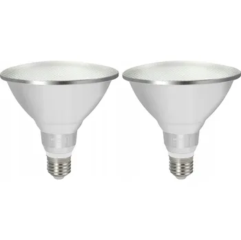 Žárovka LED žárovka Daskoo E27 15W