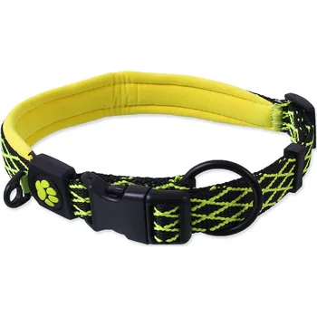 Obojek pro psa Obojek Active Dog Mystic S limetka 1,5x39-44cm